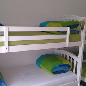 Bunk Bed Mixed Dormitory Room